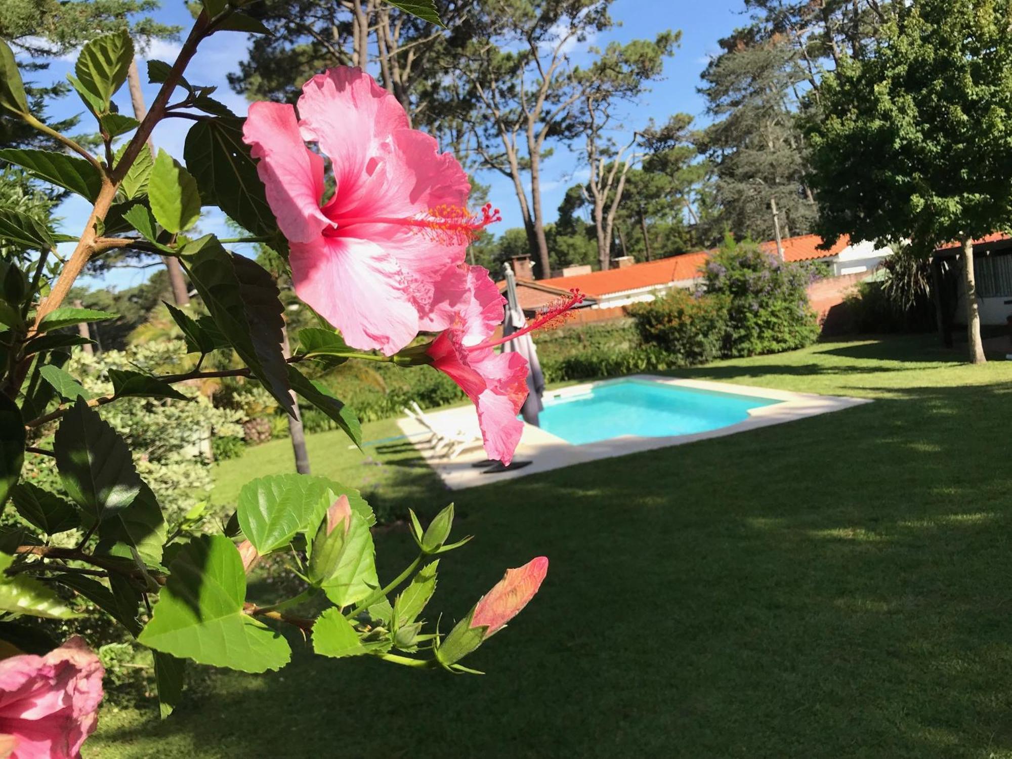 El Gauchito Villa ปุนตา เดล เอสเต ภายนอก รูปภาพ